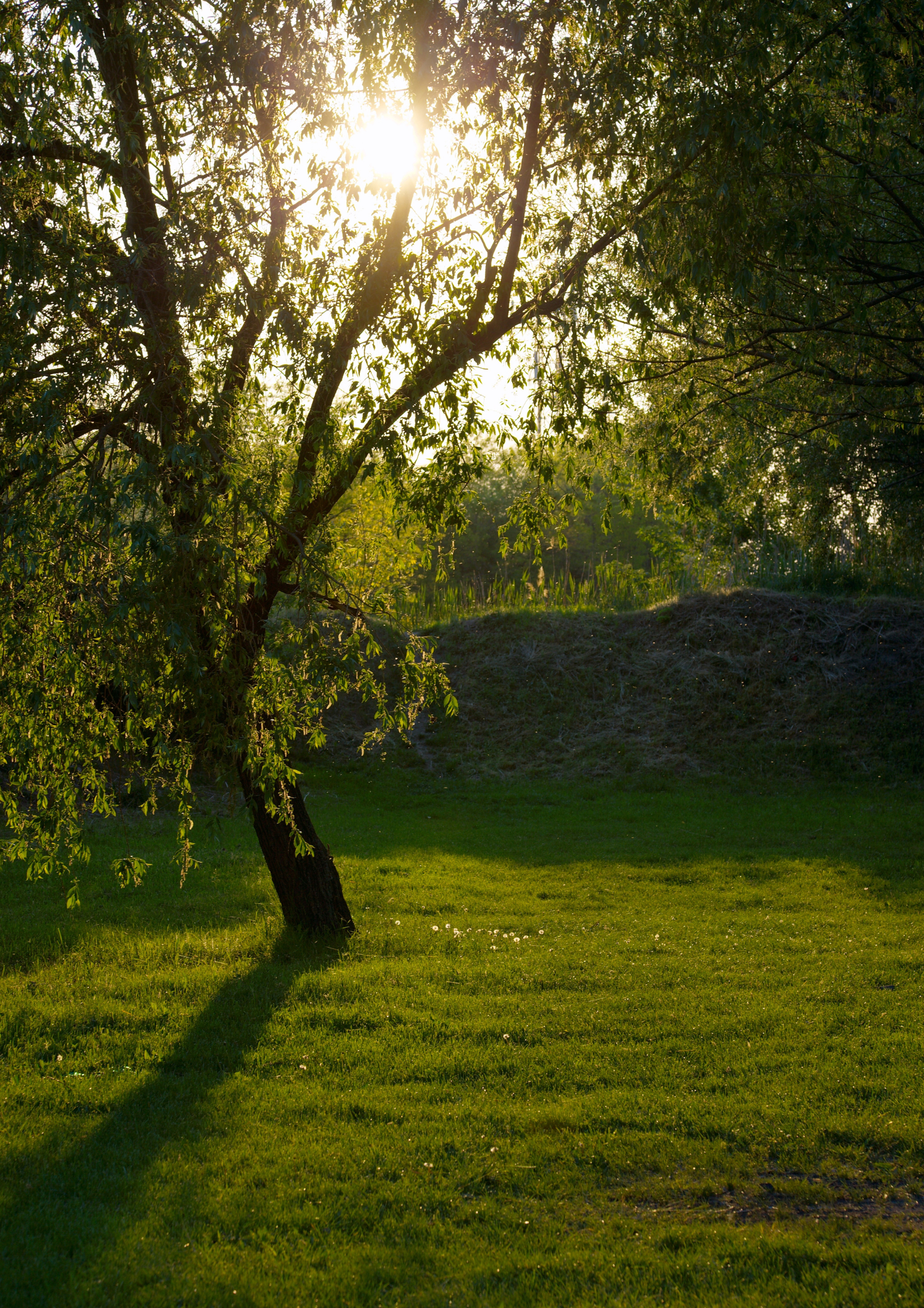 soin energetique hericy